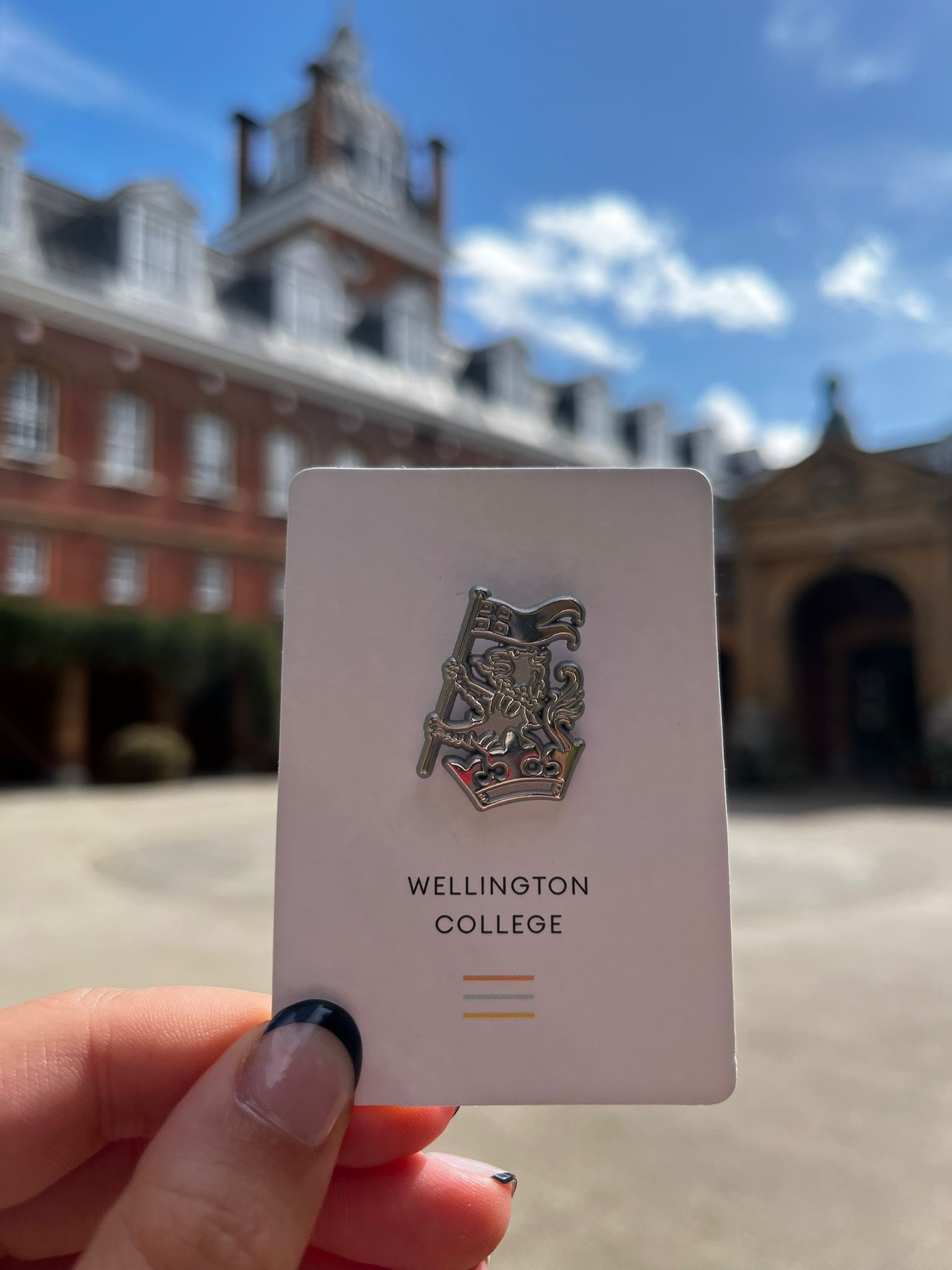 Wellington Crest Pin Badge