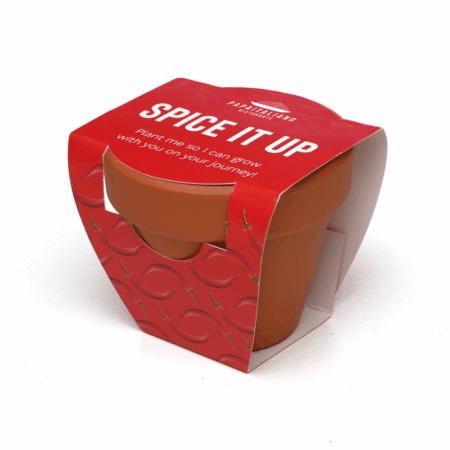 Bespoke Terracotta Pot Growing Gift