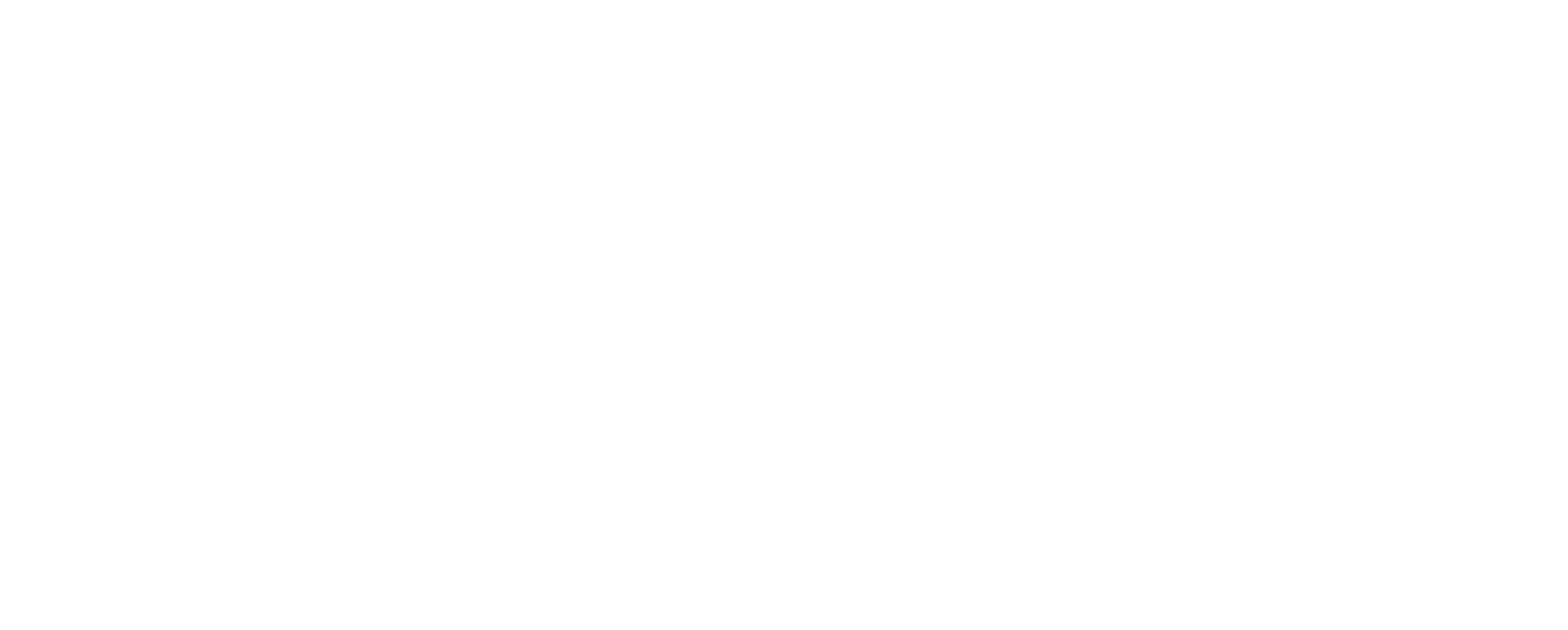 Google Reviews