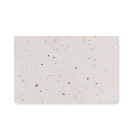 Asida Wildflower seed business card